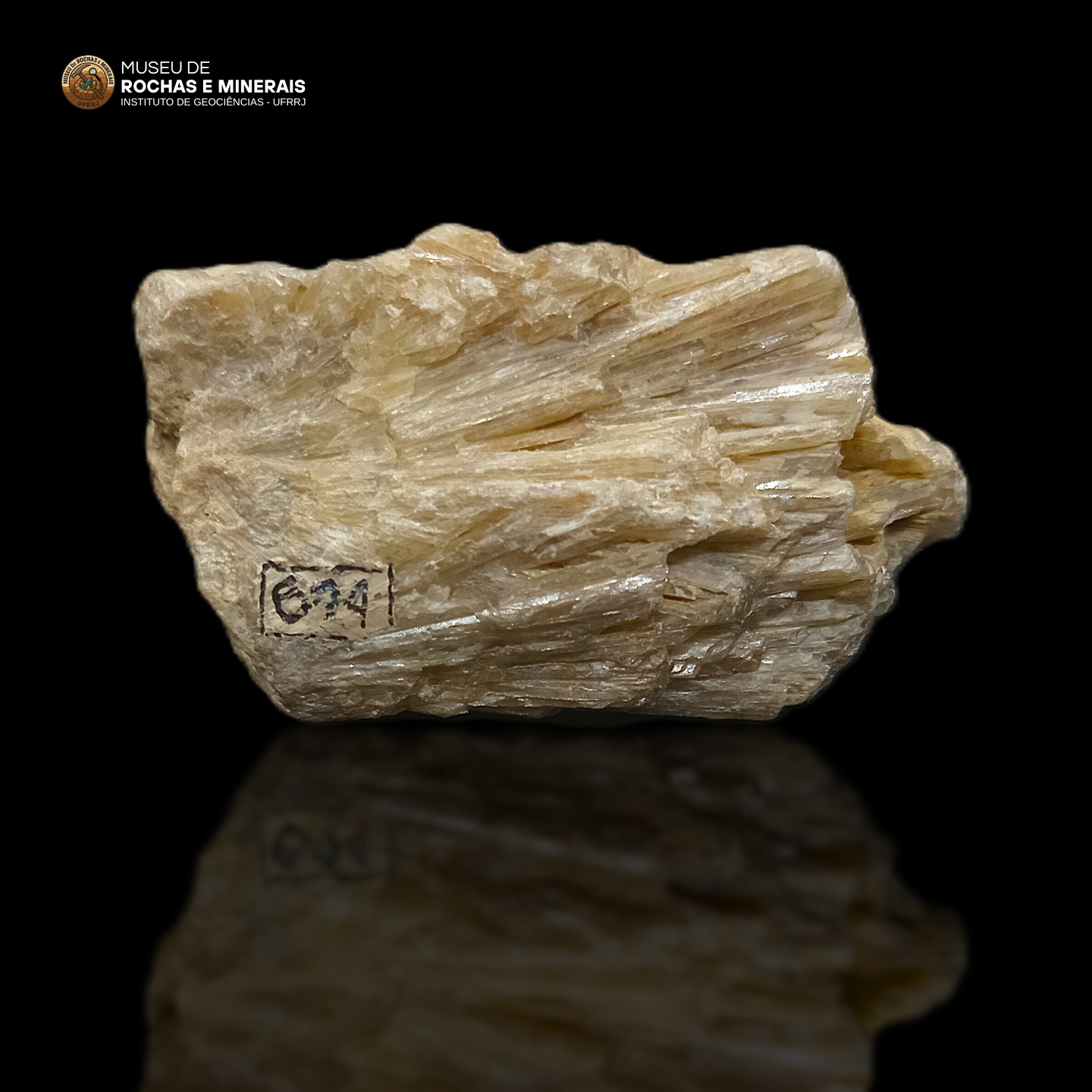 Sillimanita (Sillimanite)
