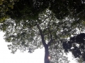 foto 01 bia