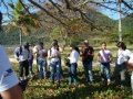 dendro_002.jpg