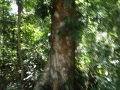 IMG_0096.jpg